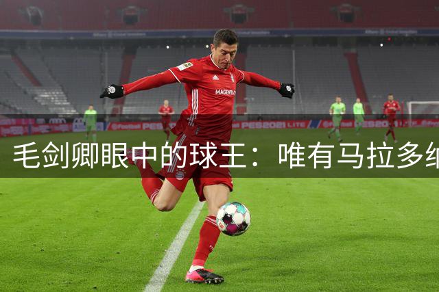 毛剑卿眼中的球王：唯有马拉多纳一人